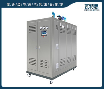 燃气蒸汽发生器