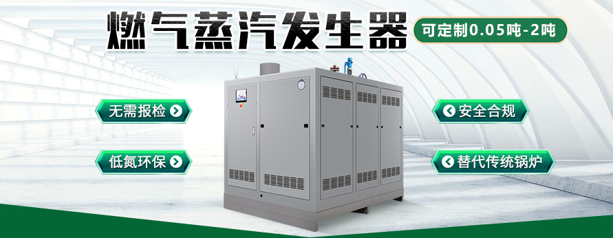 0.3T燃气蒸汽发生器