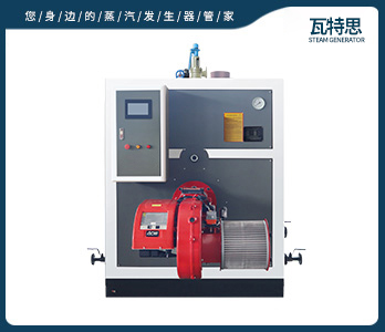 0.1T燃油蒸汽发生器