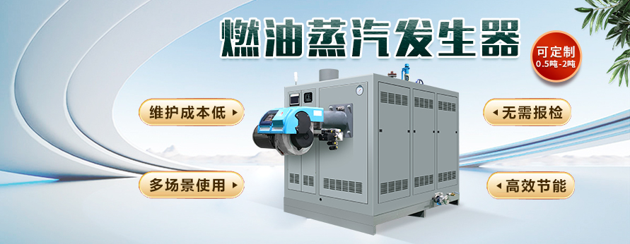 0.3T燃油蒸汽发生器